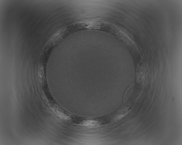 X0000084040748200702232324
