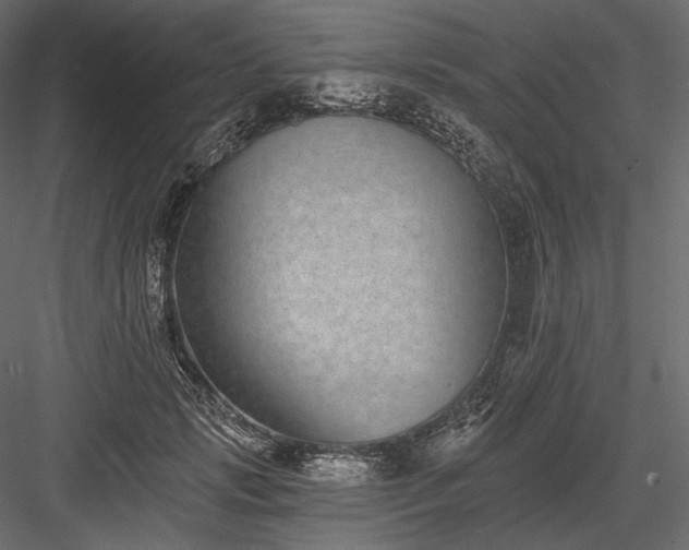 X0000084040749200702232324