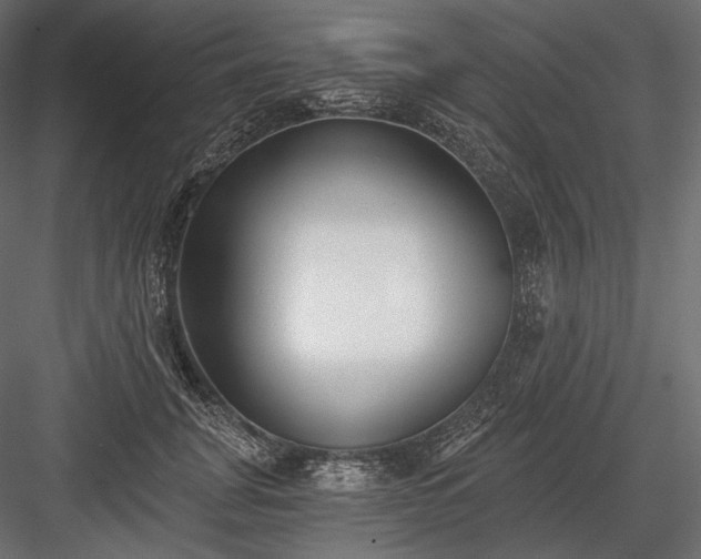 X0000084040751200702232324