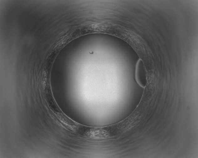 X0000084040752200702232324