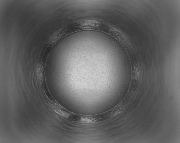 X0000084040753200702232324