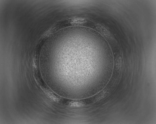X0000084040755200702232324