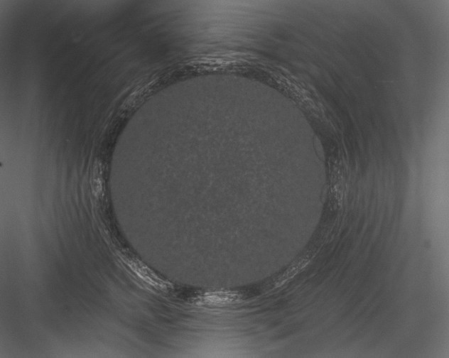 X0000084040758200702232325