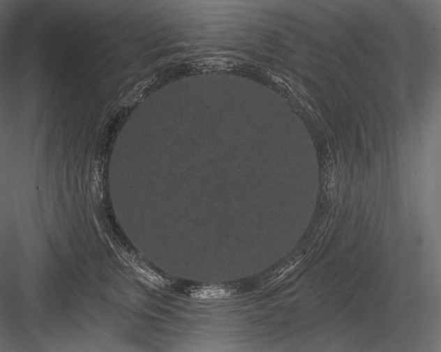 X0000084040759200702232325