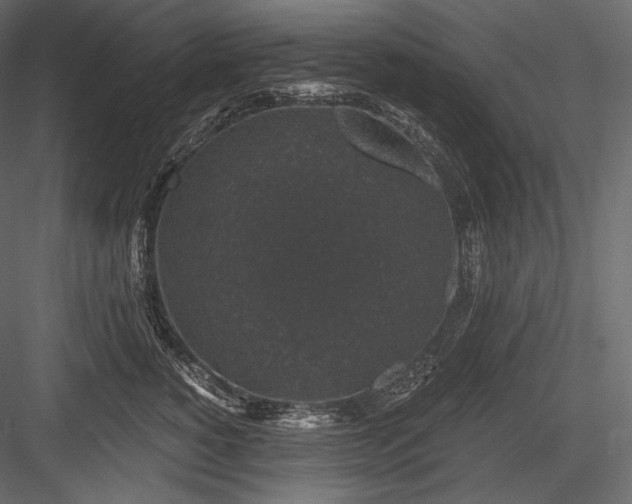 X0000084040760200702232325
