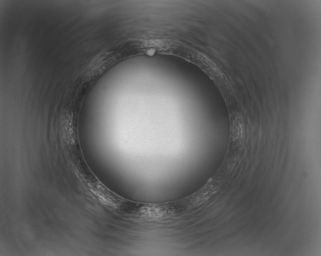 X0000084040764200702232325