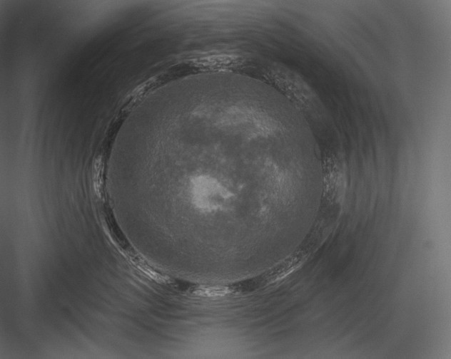 X0000084040767200702232325