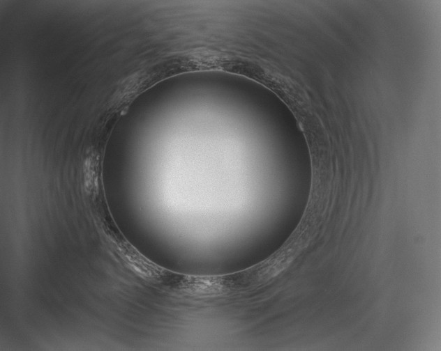 X0000084040768200702232325