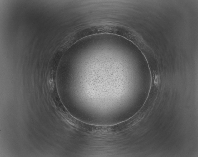 X0000084040771200702232324