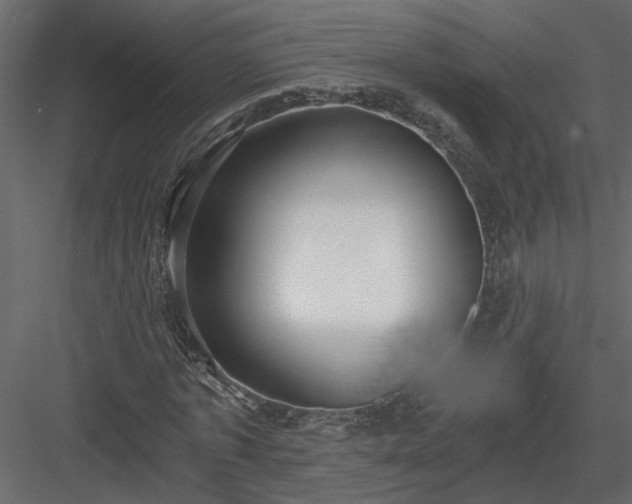 X0000084040773200702232324