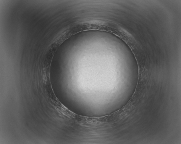 X0000084040774200702232324