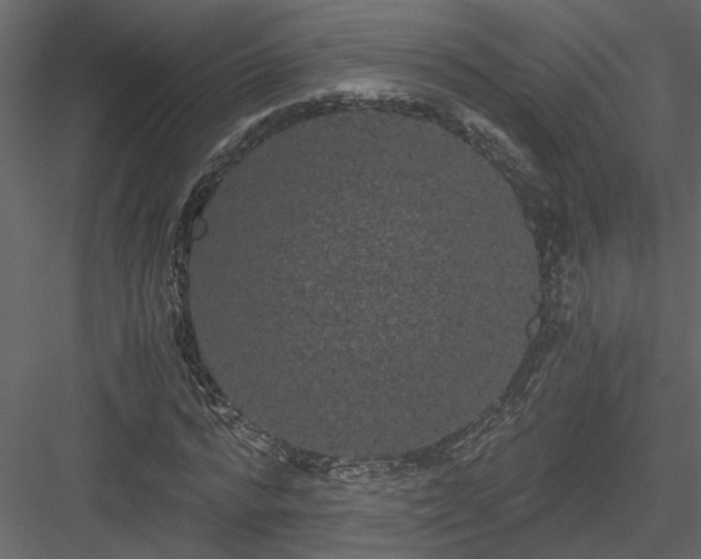 X0000084040776200702232324