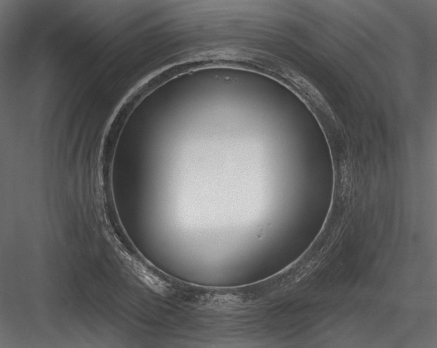 X0000084040784200702232324