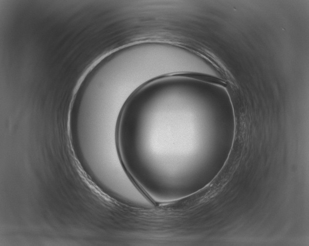 X0000084040788200702232324