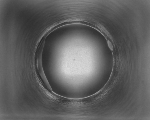 X0000084040789200702232324