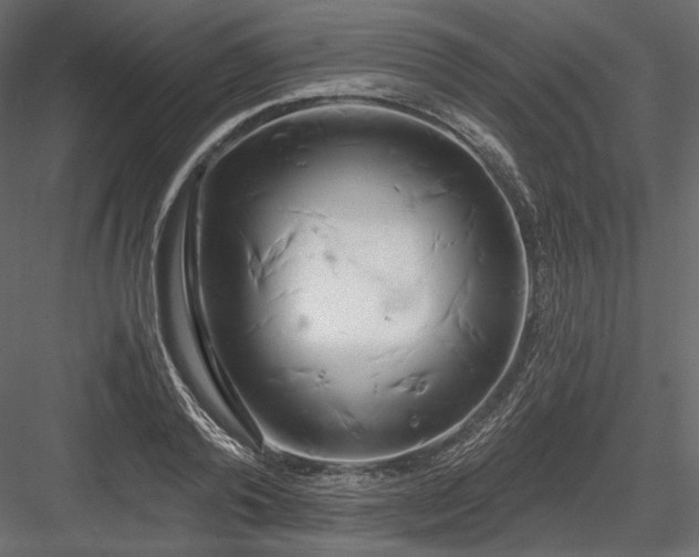 X0000084040792200702232323
