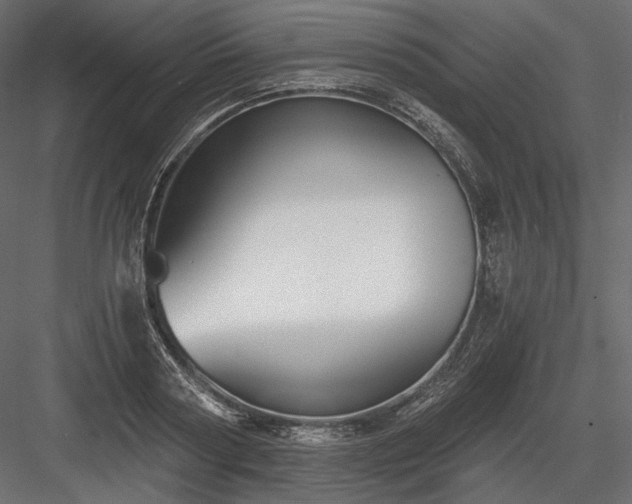 X0000084040794200702232323