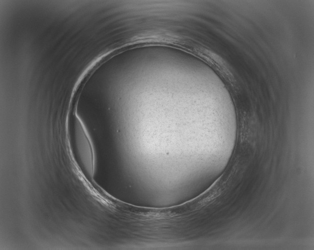 X0000084040796200702232323