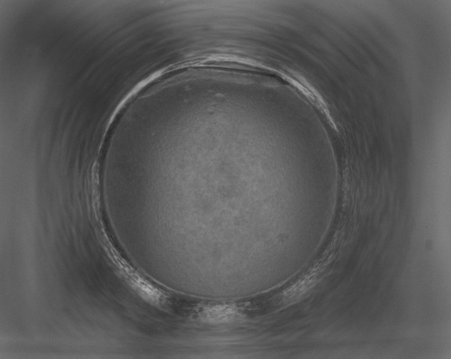 X0000084040798200702232323