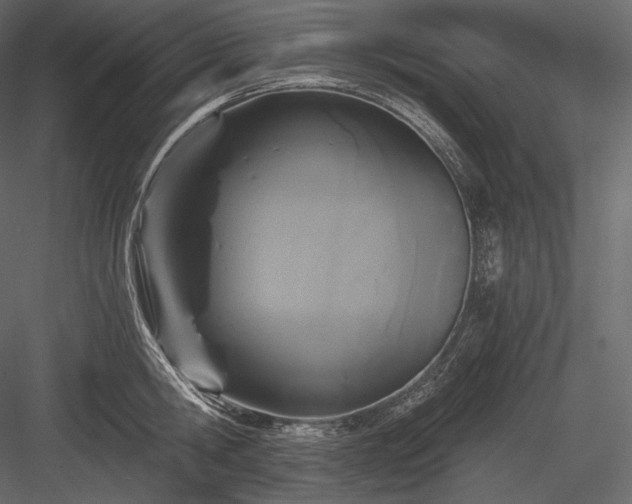 X0000084040806200702232323