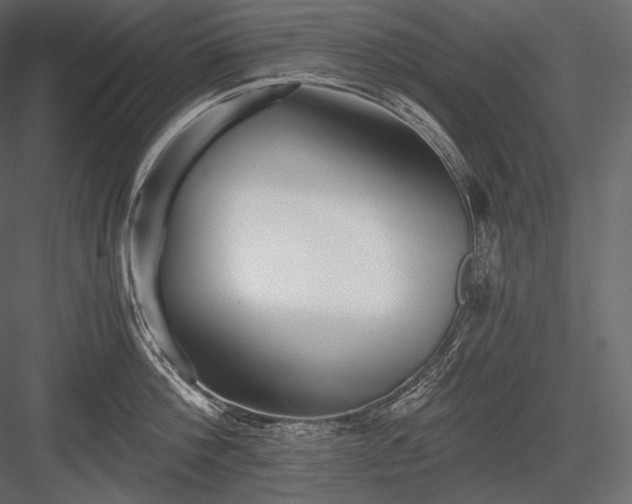 X0000084040812200702232323