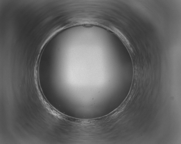 X0000084040814200702232323