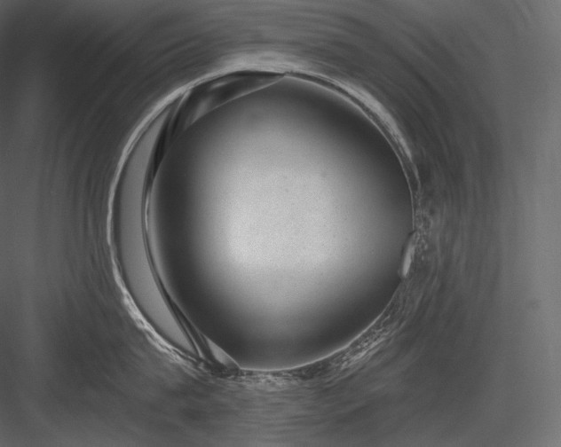 X0000084040815200702232323