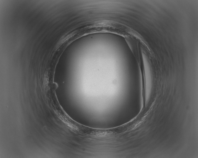 X0000084040826200702232322