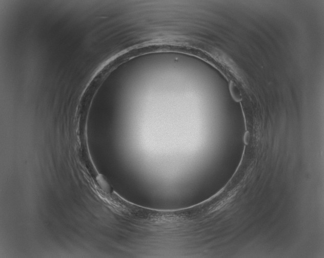 X0000084040830200702232322