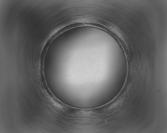 X0000084040831200702232322