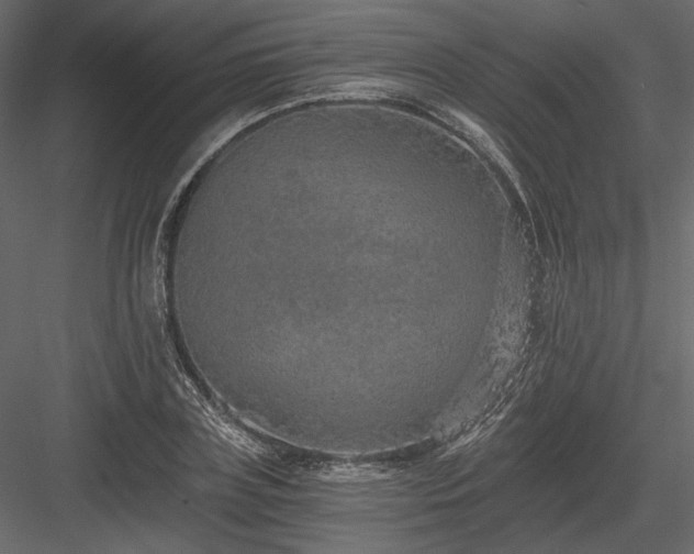 X0000084040835200702232323