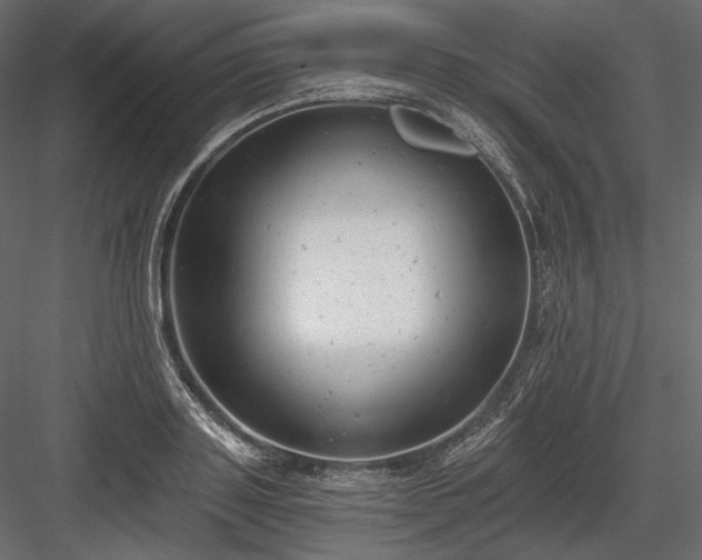 X0000084040843200702232323