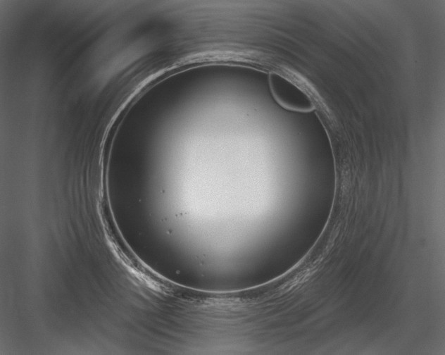 X0000084040844200702232323