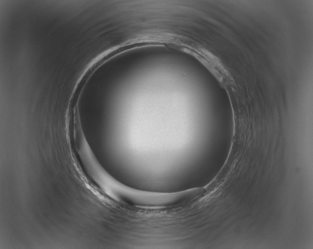 X0000084040846200702232323