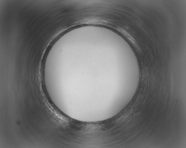X0000084040848200702232323