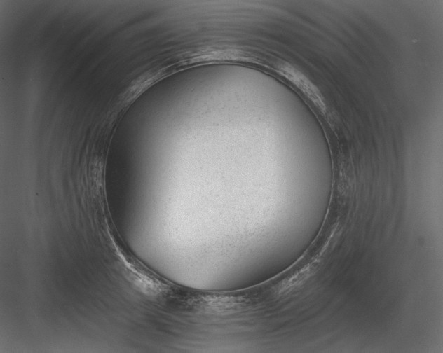 X0000084040849200702232323