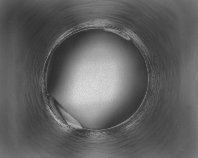 X0000084040850200702232323