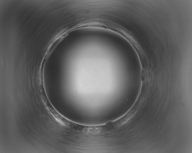 X0000084040858200702232323