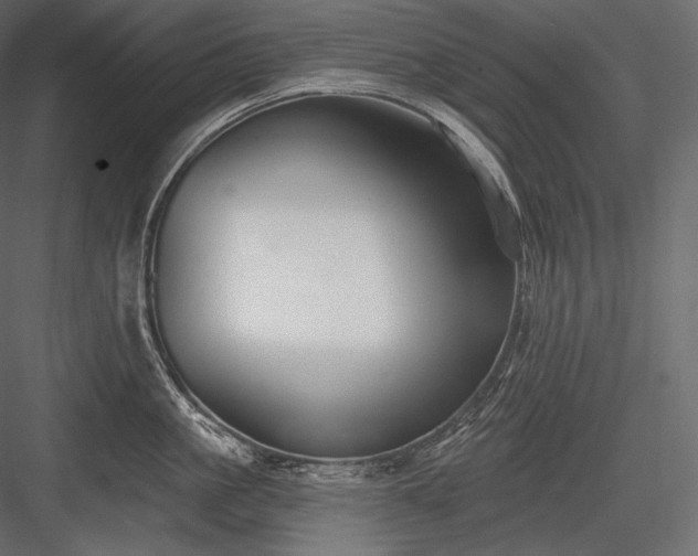X0000084040861200702232323