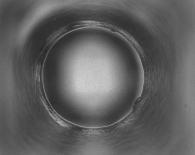 X0000084040862200702232323