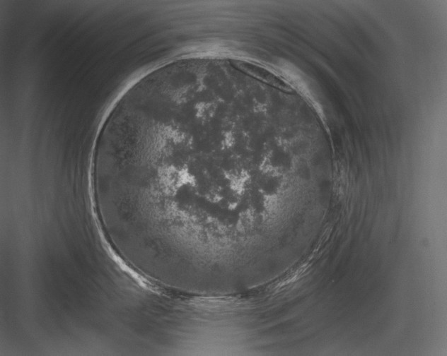 X0000084040863200702232323
