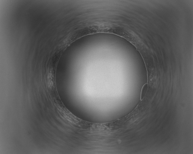 X0000084040866200702232322