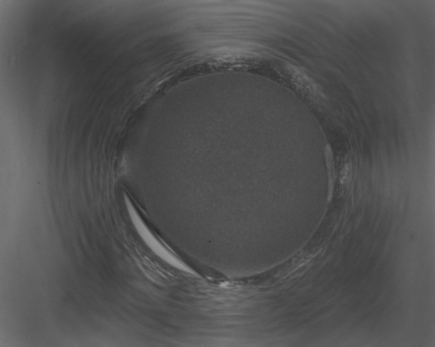 X0000084040868200702232322