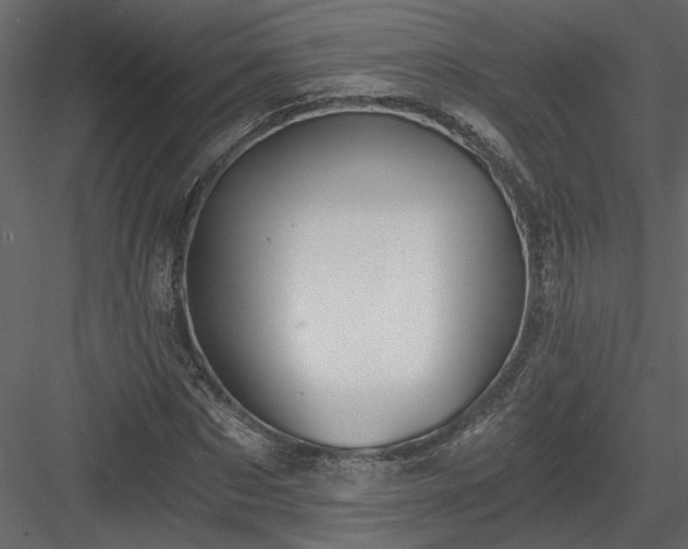 X0000084040873200702232322