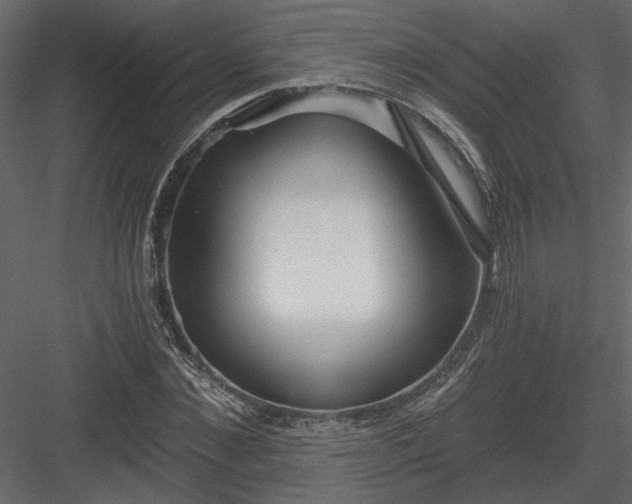X0000084040876200702232322