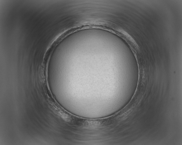 X0000084040878200702232322