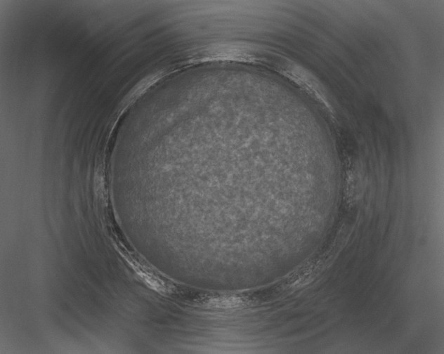 X0000084040882200702232322