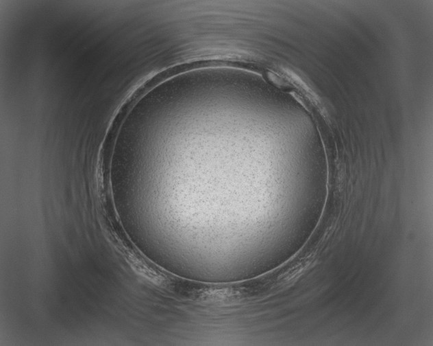 X0000084040883200702232322