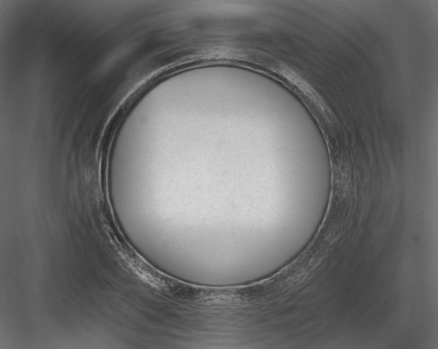 X0000084040886200702232322