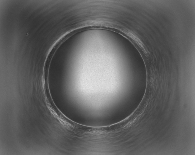 X0000084040888200702232322